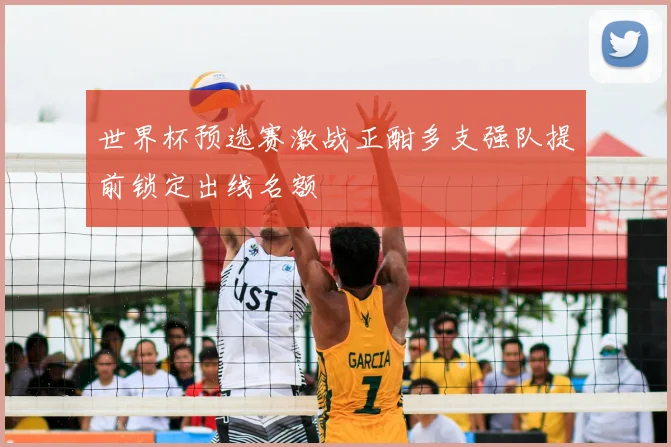 世界杯预选赛激战正酣多支强队提前锁定出线名额